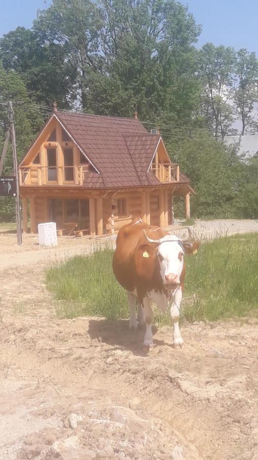 Nad Termami Dzianisz Exterior foto